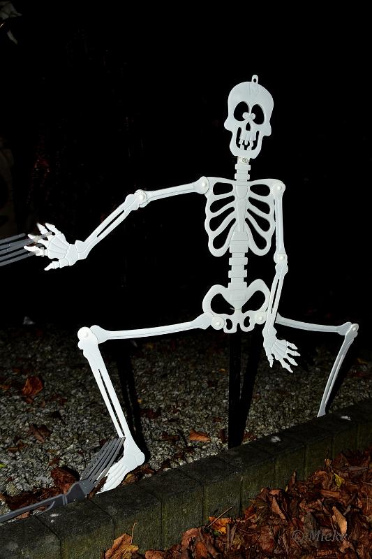 bdHalloween 2022 29.JPG - Halloween 