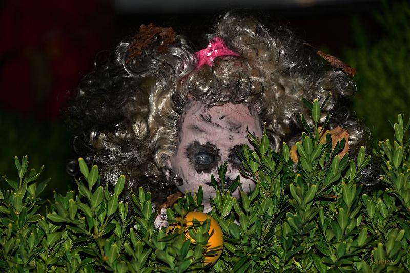 bdHalloween 2022 32.JPG - Halloween 
