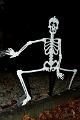 bdHalloween 2022 29