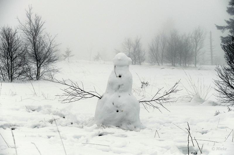 bdsneeuw barique michel jan 22 12.JPG - Hoge Venen Sneeuw 2022