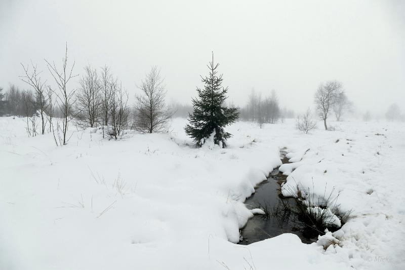 bdsneeuw barique michel jan 22 15.JPG - Hoge Venen Sneeuw 2022