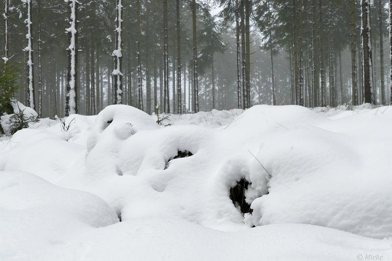 bdsneeuw barique michel jan 22 28.JPG - Hoge Venen Sneeuw 2022