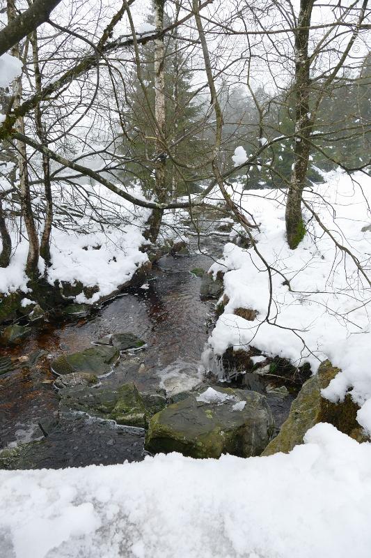 bdsneeuw barique michel jan 22 29.JPG - Hoge Venen Sneeuw 2022