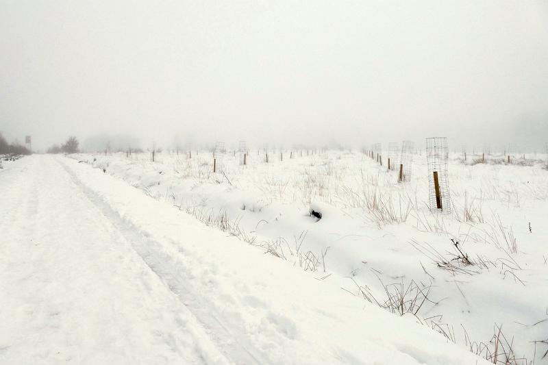 bdsneeuw barique michel jan 22 35.JPG - Hoge Venen Sneeuw 2022