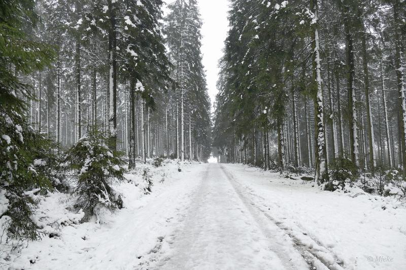 bdsneeuw barique michel jan 22 38.JPG - Hoge Venen Sneeuw 2022