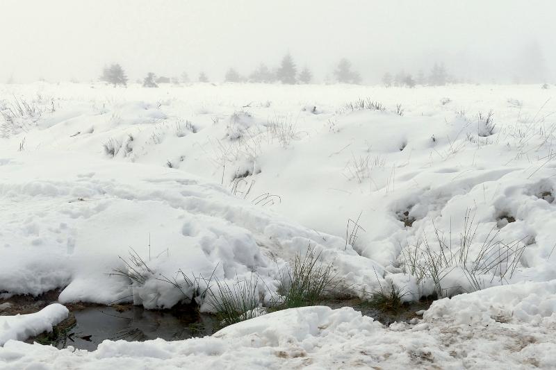 bdsneeuw barique michel jan 22 40.JPG - Hoge Venen Sneeuw 2022