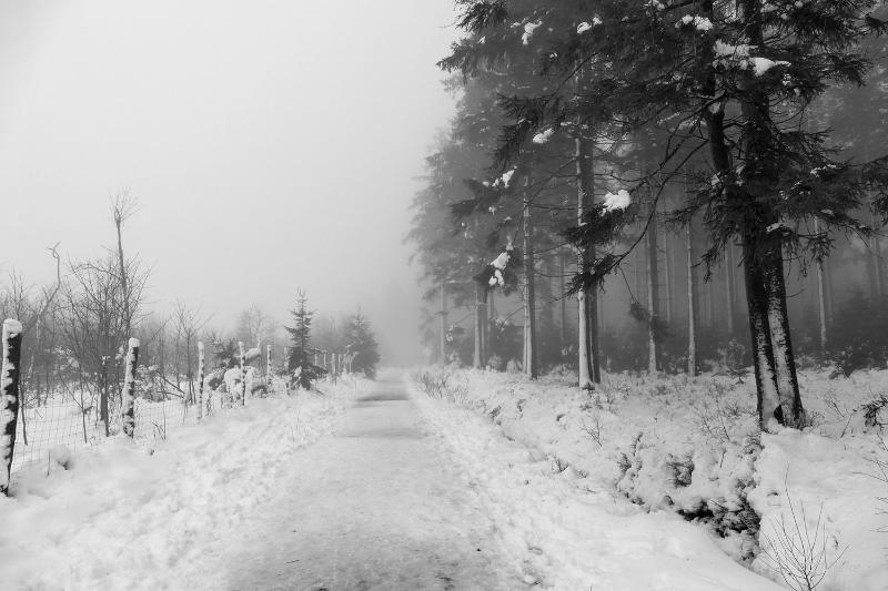 bdsneeuw barique michel jan 22 47.JPG - Hoge Venen Sneeuw 2022