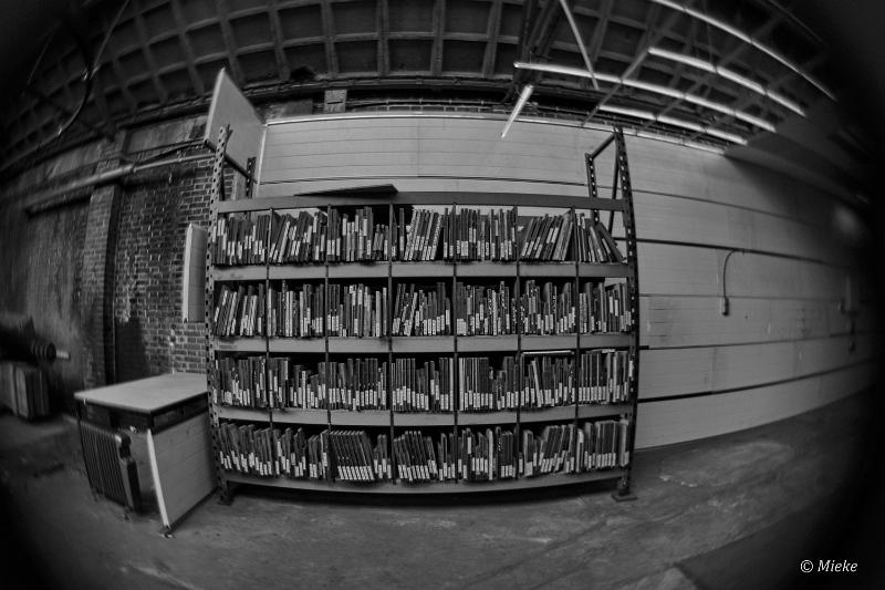 bdDSC_1370.JPG - Lensbaby optic fisheye