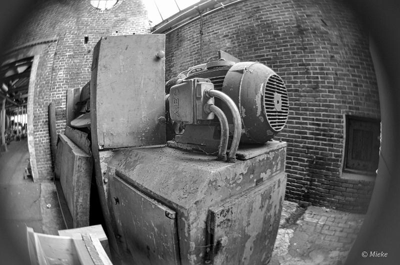 bdDSC_1378.JPG - Lensbaby optic fisheye