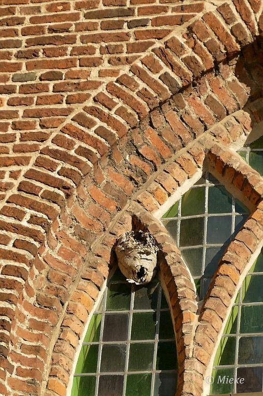 oudekerk01.JPG - Oude kerk Dongen