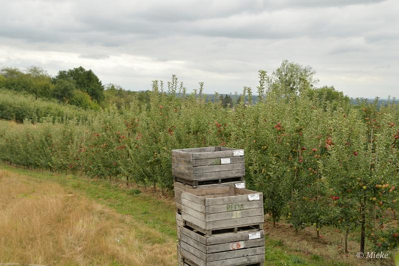 bdRondje borgloon 2022 12.JPG - Rondje borgloon