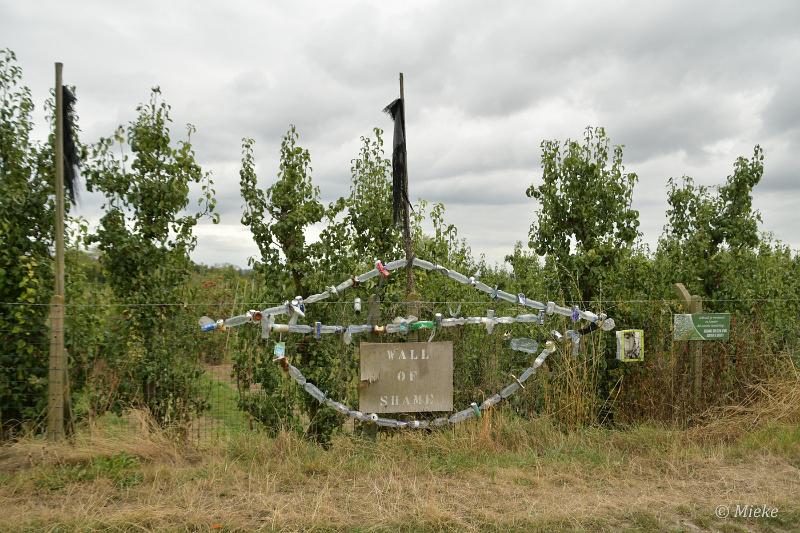 bdRondje borgloon 2022 13.JPG - Rondje borgloon