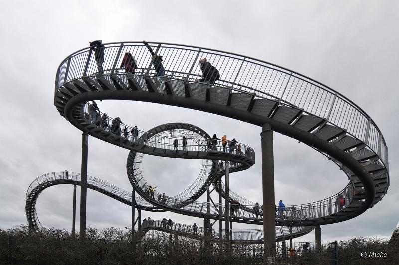 bdtiger en turtle 2022 05.JPG - Tiger und Turtle