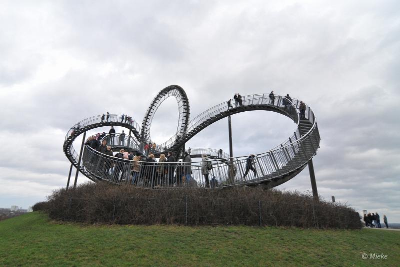 bdtiger en turtle 2022 08.JPG - Tiger und Turtle
