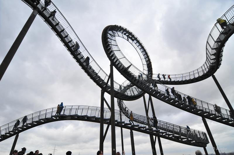 bdtiger en turtle 2022 16.JPG - Tiger und Turtle