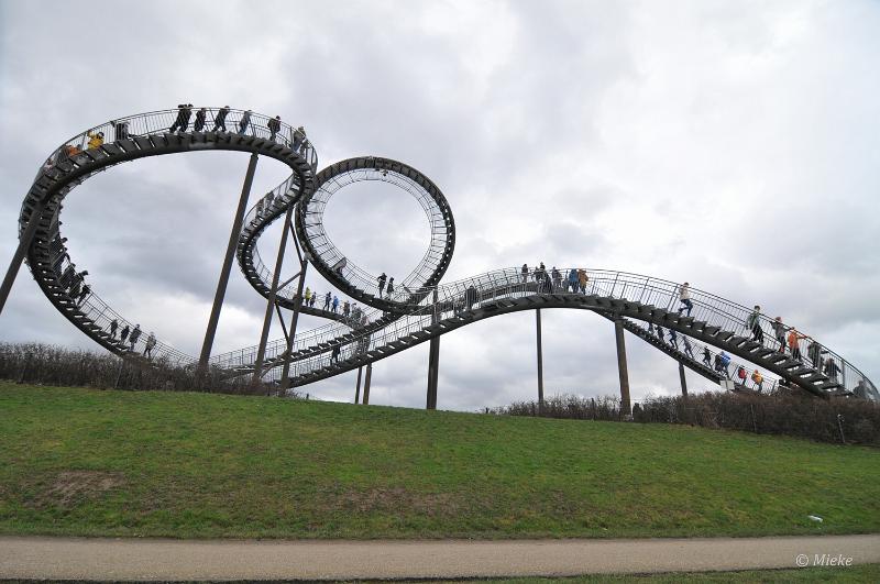 bdtiger en turtle 2022 22.JPG - Tiger und Turtle