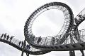bdtiger en turtle 2022 02