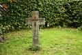 bdDSC_0019