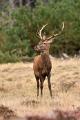 Veluwe 2022