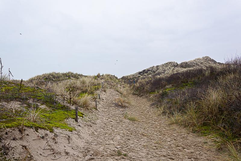 DSC_0411.jpg - Belgische kust