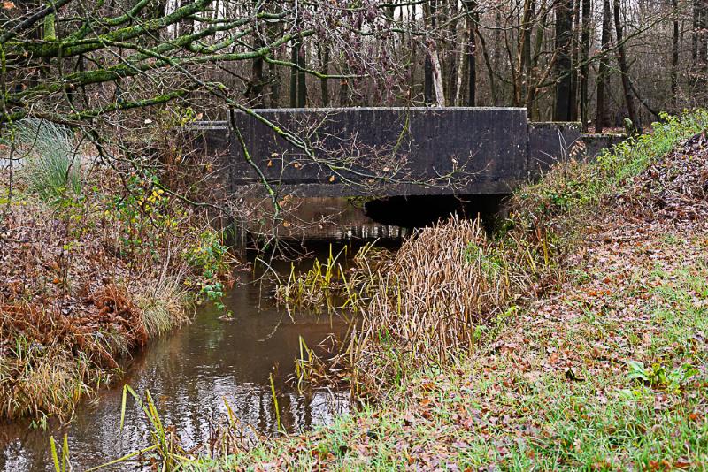 DSC_0252.jpg - De bever