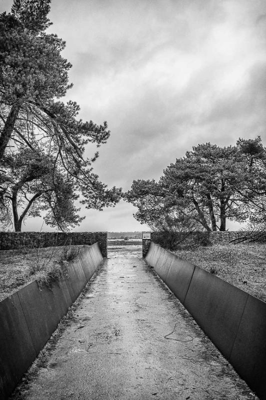 DSC_8631-bewerkt.JPG - Loonse en Drunenese duinen