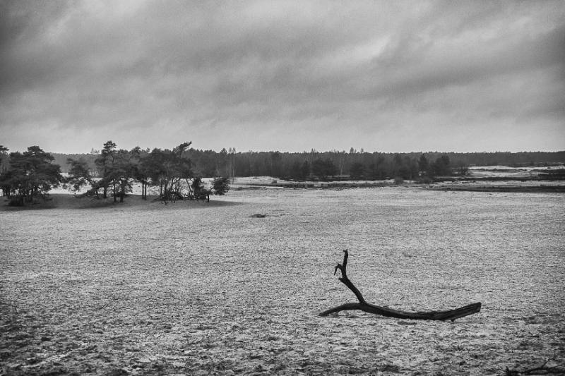 DSC_8634-bewerkt.JPG - Loonse en Drunenese duinen