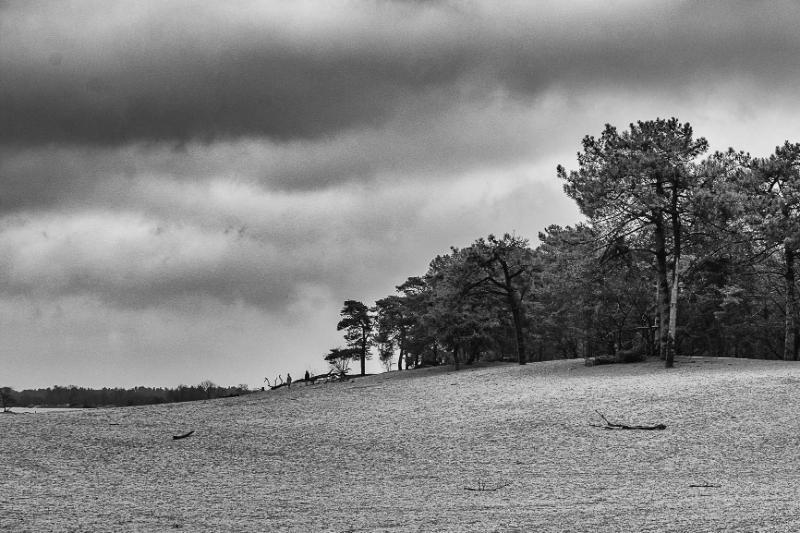 DSC_8673-bewerkt.JPG - Loonse en Drunenese duinen