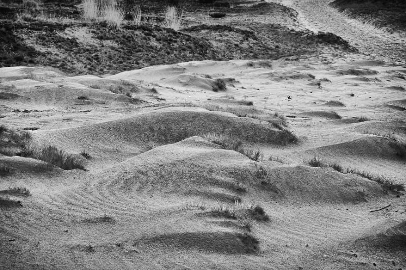 DSC_8748-bewerkt.JPG - Loonse en Drunenese duinen