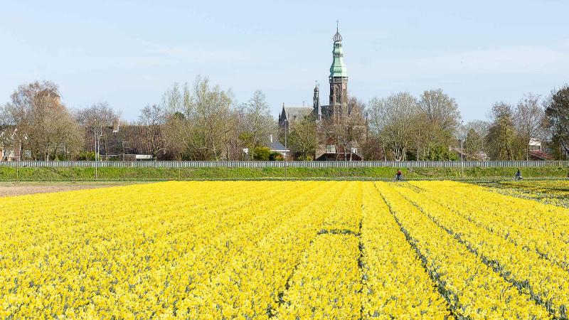 DSC_4157.jpg - Keukenhof 2019