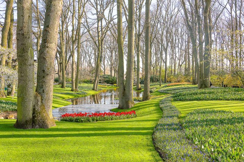 DSC_4231.jpg - Keukenhof 2019