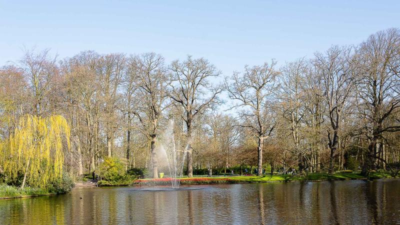 DSC_4243.jpg - Keukenhof 2019