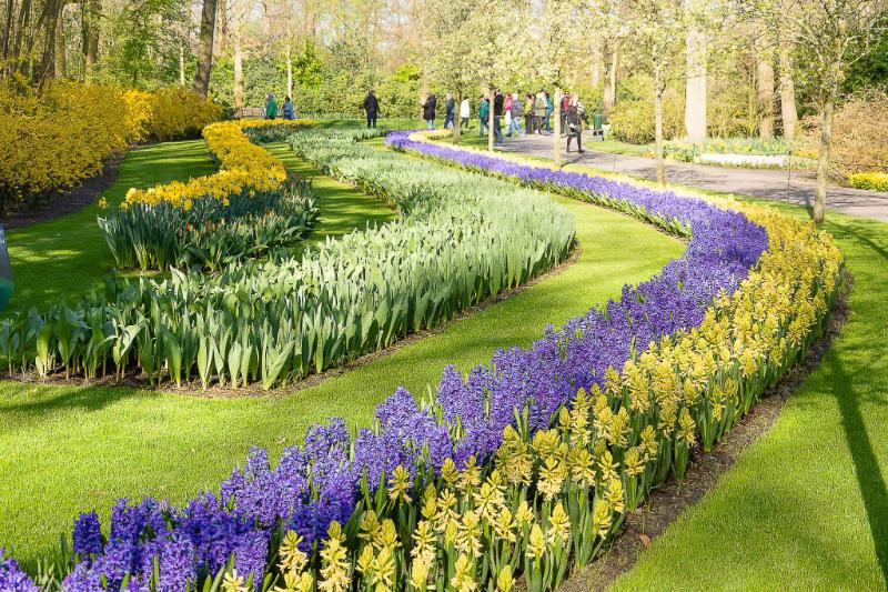 DSC_4291.jpg - Keukenhof 2019