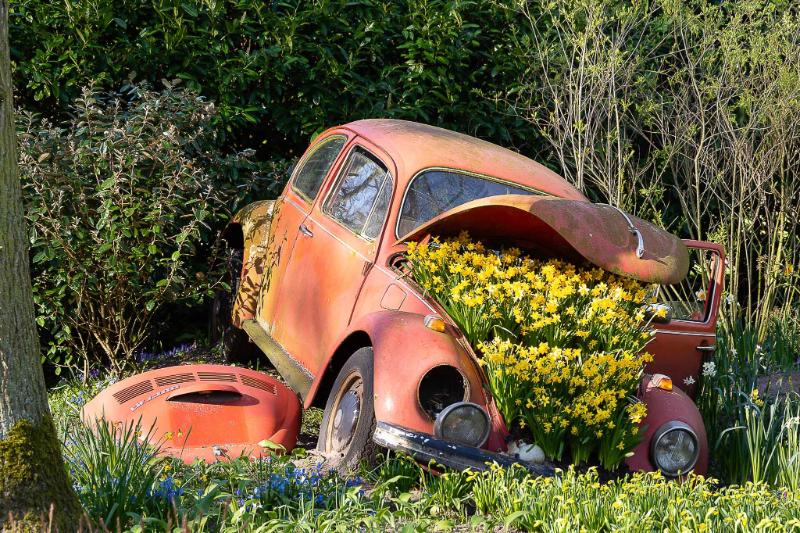 DSC_4304.jpg - Keukenhof 2019