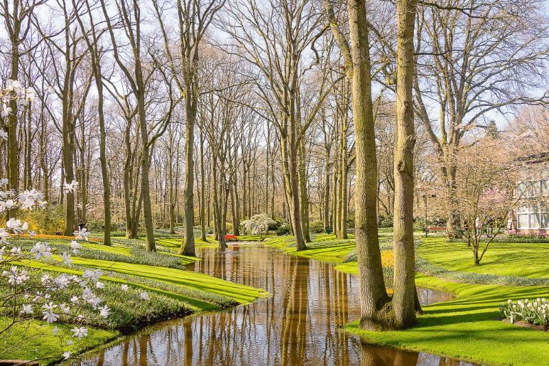 DSC_4325.jpg - Keukenhof 2019