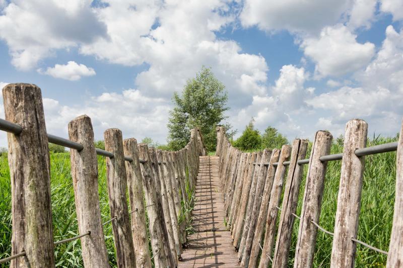 DSC_5411.jpg - Hageven 2020