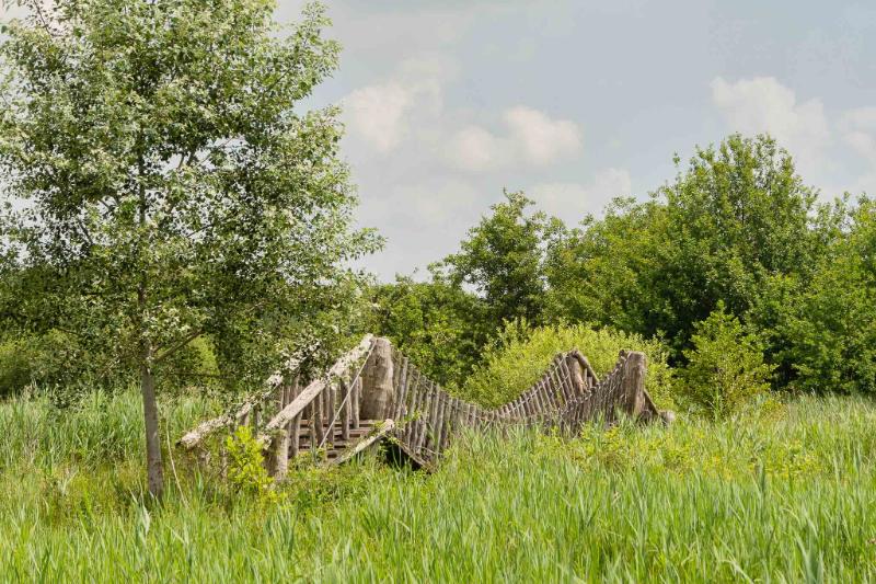 DSC_5425.jpg - Hageven 2020