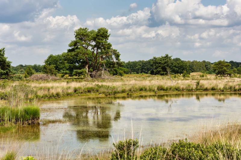 DSC_5433.jpg - Hageven 2020