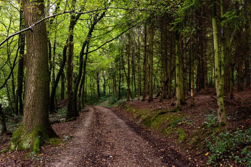 DSC_0469.jpg - Zuid Limburg 2020