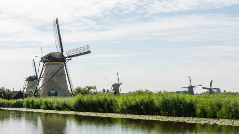 DSC_5593.jpg - Kinderdijk