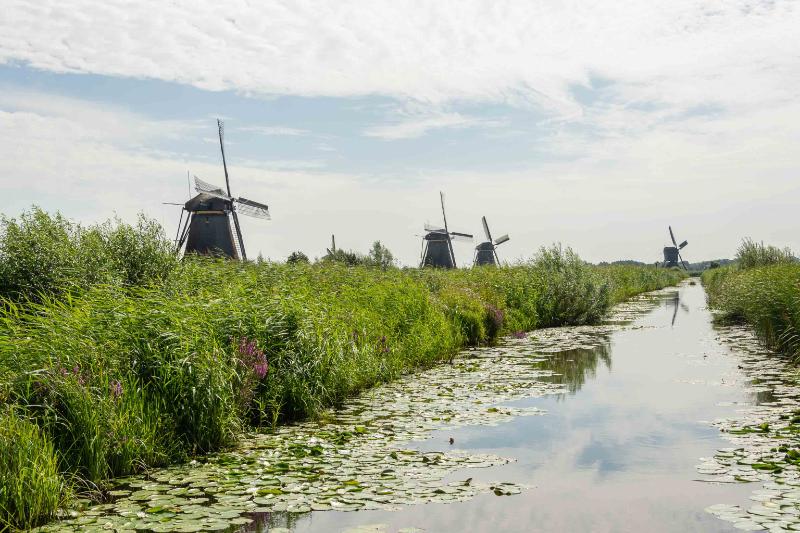 DSC_5621.jpg - Kinderdijk