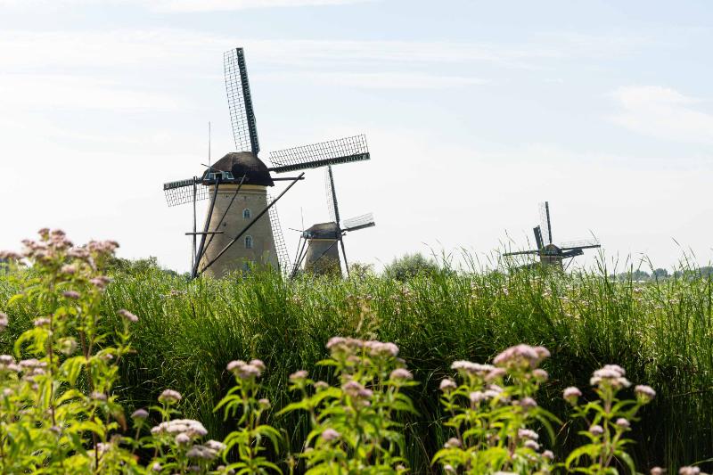 DSC_5624.jpg - Kinderdijk