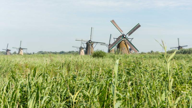 DSC_5668.jpg - Kinderdijk