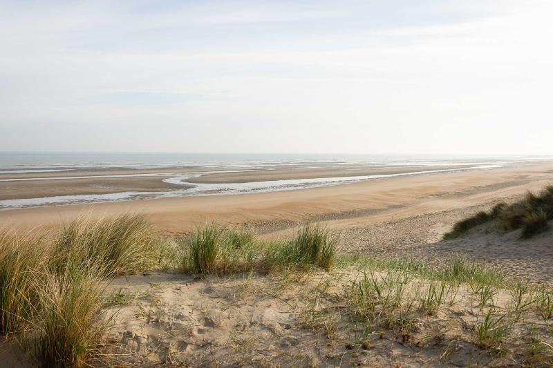 DSC_4345.jpg - Strand