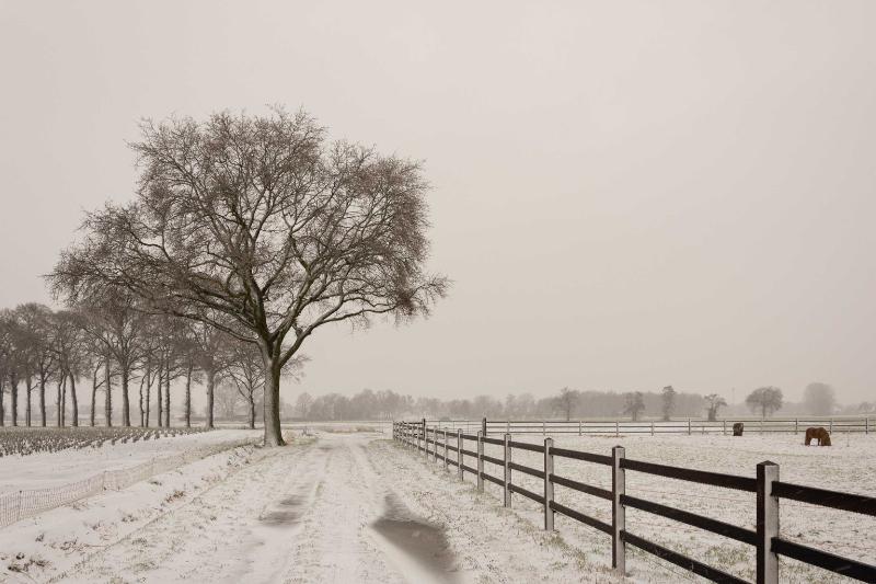 DSC_2624.jpg - Winterlandschappen