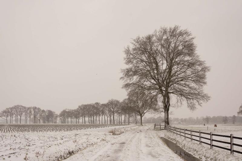 DSC_2627.jpg - Winterlandschappen