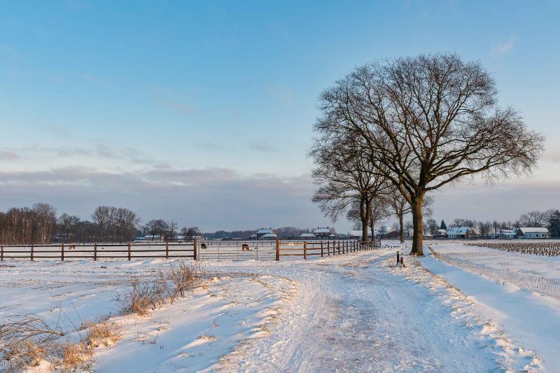 DSC_5534-2.jpg - Winterlandschappen