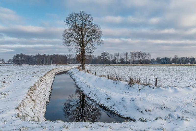 DSC_5584-2.jpg - Winterlandschappen