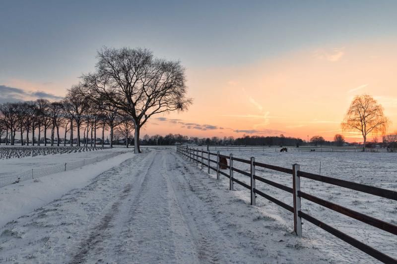 DSC_5676-bewerkt.jpg - Winterlandschappen