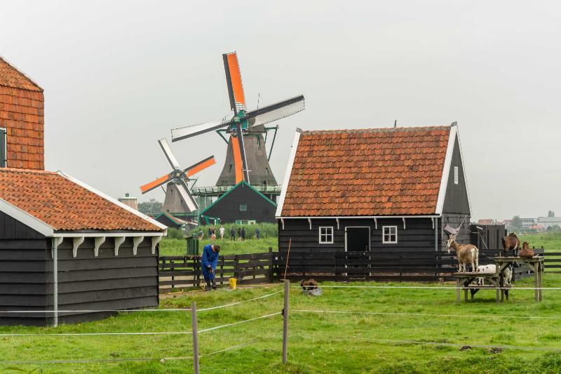 DSC_5863.jpg - Zaanse schans